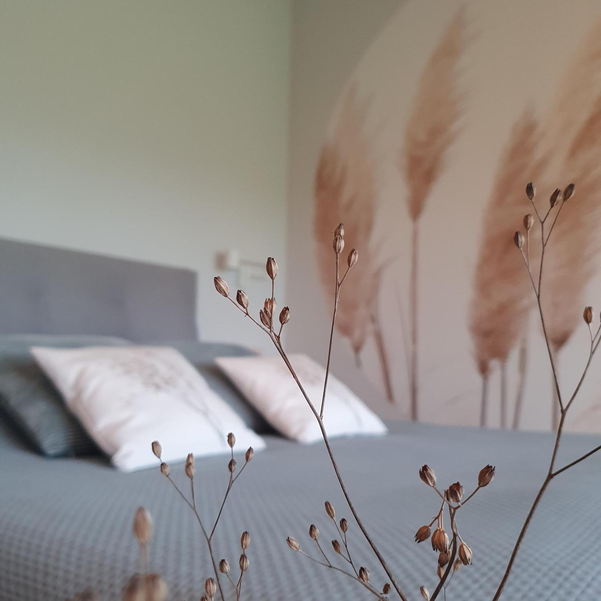Hippe Schuur Bed & Breakfast Tytsjerk Екстериор снимка